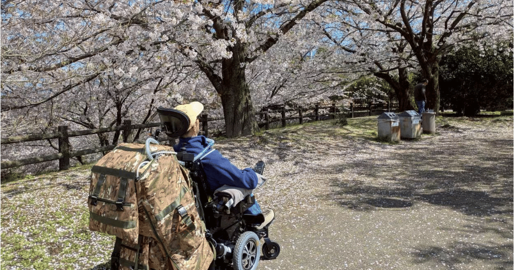 東温市の重度訪問介護をイメージした、桜並木の下で車いすの利用者が外出を楽しむ様子